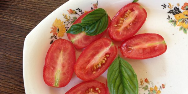 Field Guide to Delicious